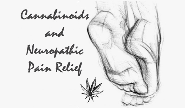 Cannabinoids and Neuropathic Pain Relief – How Cannabis Works on Neuropathy